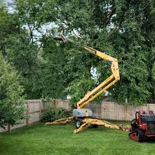 Best Grass Overseeding  in Castle Rock, WA